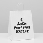 Пакет подарочный с приколами, крафт «Пупсик», белый, 24 х 10,5 х 30 см, 1 шт. 9517710 - фото 10496963