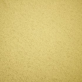 

Покрывало с подкладом «Грация», размер 230x250 см, цвет золото