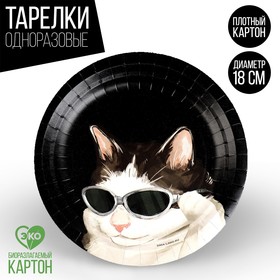 Тарелка бумажная «Котик», 18 см 9550488