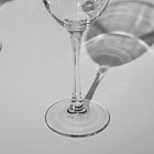 Набор стеклянных бокалов для вина «Эталон», 250 мл, 3 шт - Фото 4