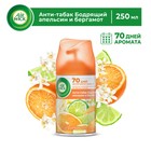 Сменный баллон Airwick Freshmatic «Антитабак Бодрящий апельсин и бергамот», 250 мл - Фото 1