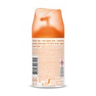 Сменный баллон Airwick Freshmatic «Антитабак Бодрящий апельсин и бергамот», 250 мл - Фото 2