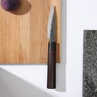 Нож овощной с деревянной ручкой, лезвие 9 см - фото 319472943