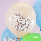Воздушный шар латексный 12" «С днём рождения! Котёнок и щенок» ассорти, пастель, набор 25 шт. - фото 30762920