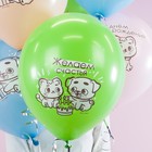 Воздушный шар латексный 12" «С днём рождения! Котёнок и щенок» ассорти, пастель, набор 25 шт. - фото 30762921