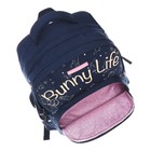 Рюкзак школьный Bruno Visconti, 40×30×19 см, эргономичная спинка, 12-002 BUNNY LIFE, синий - Фото 13