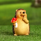 Садовая фигура из полистоуна «Ежик с мухомором», 11×8×9 см - Фото 4