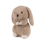 Мягкая игрушка «Зайка Зая», 23 см - фото 25525510