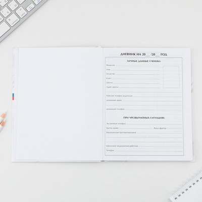 Дневник школьный 5-11 класс «Россия», твердая обложка 7БЦ, глянцевая ламинация, 48 листов