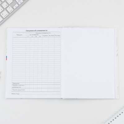 Дневник школьный 5-11 класс «Россия», твердая обложка 7БЦ, глянцевая ламинация, 48 листов