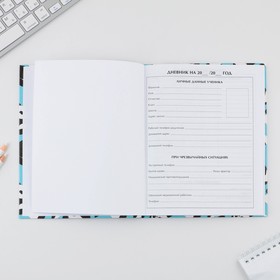 Дневник школьный 5-11 класс «Панды», твердая обложка 7БЦ, глянцевая ламинация, 48 листов