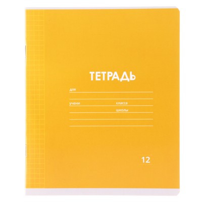 Тетрадь 12 листов в клетку Calligrata «Однотонная Классика Линовка. Эконом», обложка мелованная бумага, ВД-лак, блок №2 (серые листы), МИКС