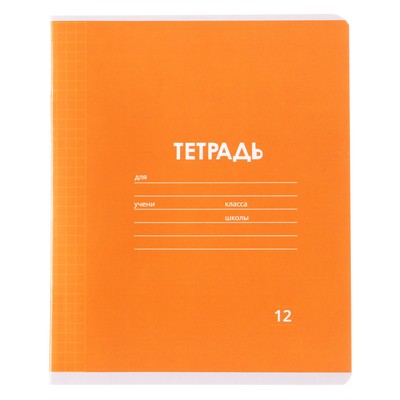 Тетрадь 12 листов в клетку Calligrata «Однотонная Классика Линовка. Эконом», обложка мелованная бумага, ВД-лак, блок №2 (серые листы), МИКС