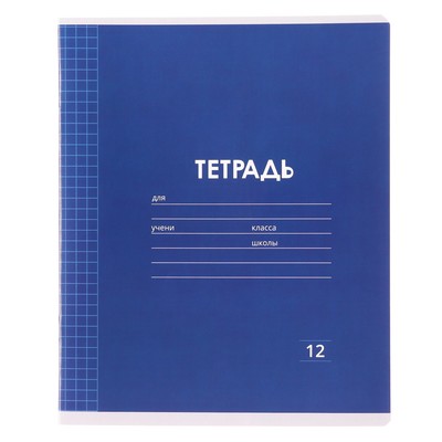 Тетрадь 12 листов в клетку Calligrata «Однотонная Классика Линовка. Эконом», обложка мелованная бумага, ВД-лак, блок №2 (серые листы), МИКС