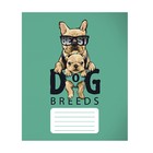 Тетрадь 12 листов в узкую линию Calligrata «Собачий стиль», обложка мелованный картон, ВД-лак, блок офсет, белизна 95%, МИКС - Фото 6