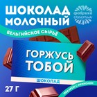 Шоколад молочный «Горжусь», 27 г. - фото 319474542