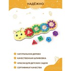 Сортер «Гусеница» - фото 24509208