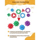 Сортер «Гусеница» - фото 24509209