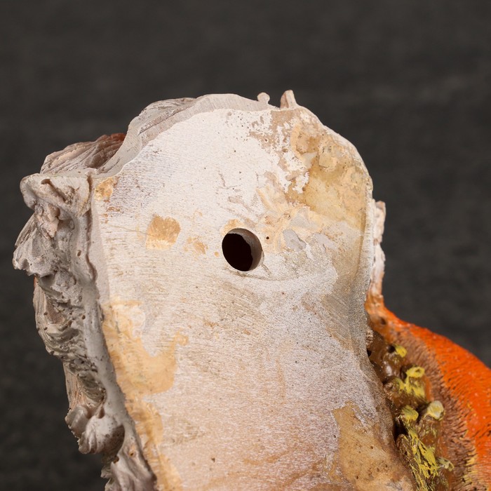 Подвесной декор-кормушка "Белочка" Хорошие сувениры из полистоуна, 15х21см, коричневая - фото 1909187473
