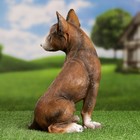 Садовая фигура "Стафф" 33см - фото 22232942