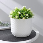 Кашпо для цветов со вставкой «Клевер», 3.2 л, d=17.5 см, h=16 см, белое - Фото 1