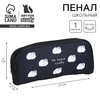 Пенал школьный, текстиль, 8×20×4 см «На грани срыва»