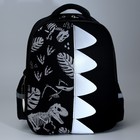 Рюкзак школьный каркасный 39х30х14 см  «1 сентября: Мир динозавров» - Фото 17