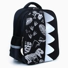 Рюкзак школьный каркасный 39х30х14 см  «1 сентября: Мир динозавров» - Фото 18