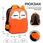 Рюкзак школьный каркасный 39х30х14 см  «1 сентября: Лиса» - Фото 2
