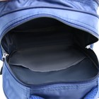 Рюкзак школьный каркасный 39х30х14 см «1 сентября: Енотик и лисёнок» - Фото 11