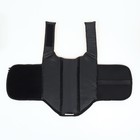 Спасательный жилет для собак 0-3 кг, размер XXS (ДС 15, ОГ 28-37, ОШ 19-27 см) - фото 24341237