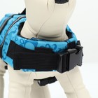 Спасательный жилет для собак 3-7 кг, размер XS (ДС 21, ОГ 30-42, ОШ 25-35 см) - Фото 4