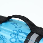 Спасательный жилет для собак 3-7 кг, размер XS (ДС 21, ОГ 30-42, ОШ 25-35 см) - Фото 7