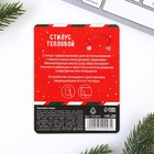 Тепловой стилус для телефона «Новогодняя почта», 6,2 х 0,5 см 9520007 - фото 16625646