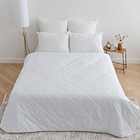 Одеяло облегченное 172×205 см, файбер 100 г/м², микрофибра белая 80 г/м², 100% полиэстер - Фото 1