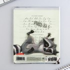 Обложка для тетрадей и школьного дневника «Енотики», 34,7 х 21,1 см (комплект 5 шт) - фото 22235107