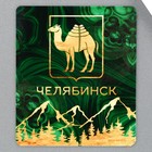 Магнит виниловый «Челябинск», 6 х 7 см - фото 10511296