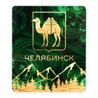 Магнит виниловый «Челябинск», 6×7 см - Фото 2