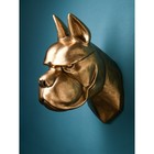 Фигура "Голова собаки", полистоун, 71 см, золото, 1 сорт, Иран - фото 2180211