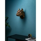 Настенная фигура «Голова собаки», полистоун, 35 см, цвет золото - фото 44779300