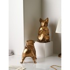 Набор фигур «Бульдог», геометрия, полистоун, 34 см, цвет золото - фото 22238413