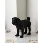 Фигура «Мопс», полистоун, 48 см, цвет чёрный матовый - фото 319485142