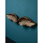 Набор фигур из 2 частей "Крылья", полистоун, золото, Иран, 1 сорт - фото 10512688