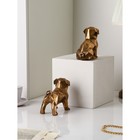 Набор фигур «Щенки», полистоун, 14 см, 2 шт, цвет золото - фото 40551354