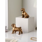 Набор фигур «Щенки», полистоун, 14 см, 2 шт, цвет золото - фото 40551356