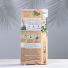 Диффузор для дома, ароматический парфюм, ароматизатор с палочками, Breesal. Aromatherapy, 70 мл, Жизненная энергия - фото 22715453