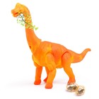 Динозавр «Диплодок травоядный», МИКС, уценка - Фото 1