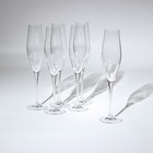 Набор бокалов для шампанского Loxia, стеклянный, 210 мл, 6 шт - фото 5944583