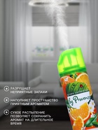 Освежитель воздуха в аэрозольной упаковке серии «PROVENCE» Солнечный апельсин 300 мл. - Фото 2