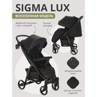 Коляска прогулочная детская Indigo SIGMA LUX, цвет черный 9695096 - фото 19766849